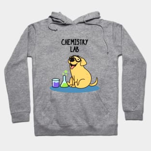 Chemistry Lab Funny Labrador Dog Pun Hoodie